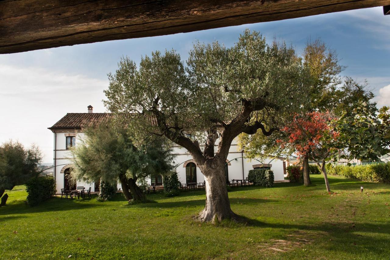 Villa Coralia Agriturismo Osimo Exterior foto