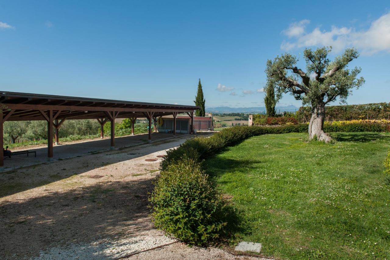 Villa Coralia Agriturismo Osimo Exterior foto